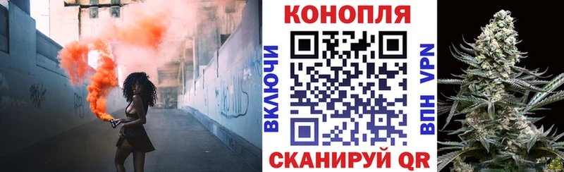 где найти   Тотьма  Бошки Шишки VHQ 